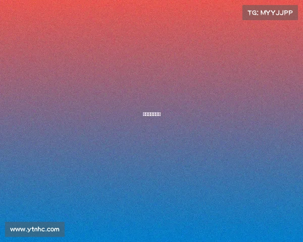 历届法国队阵容